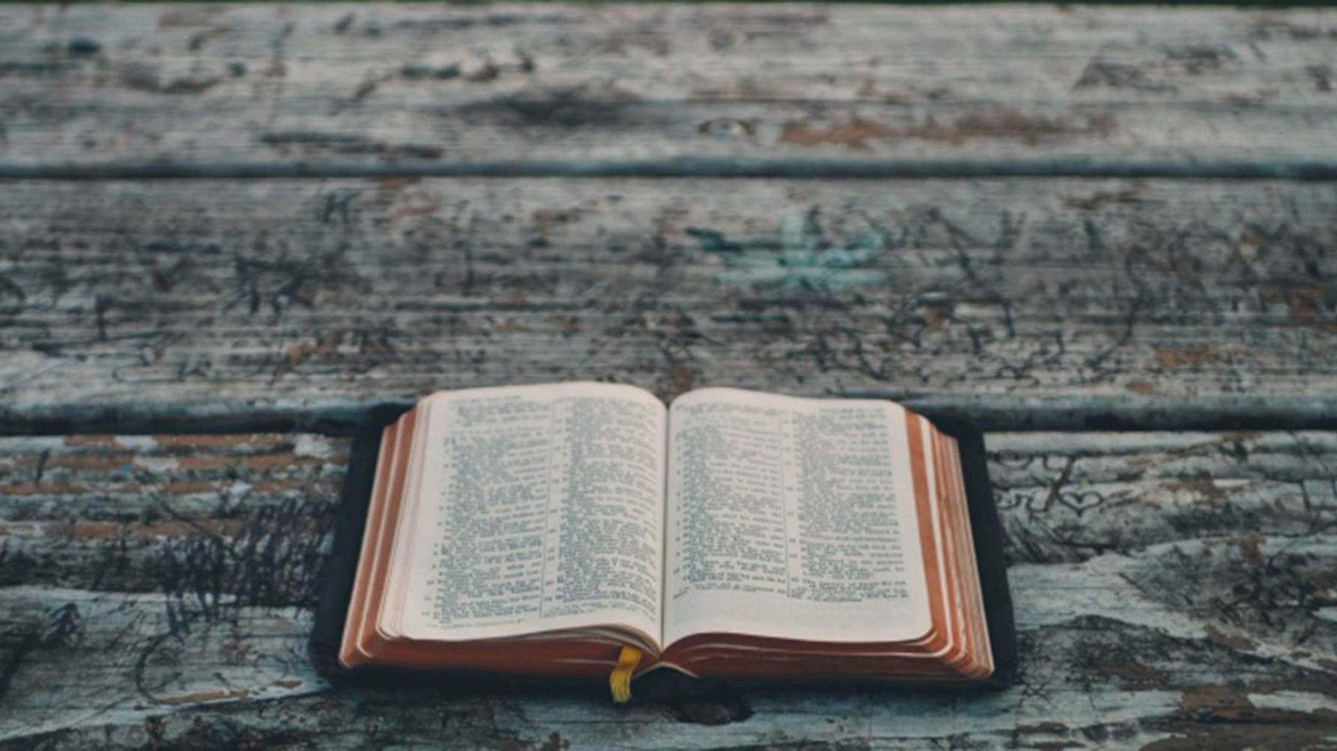 the-sabbath-saturday-or-sunday-does-it-matter-the-lazarus-effect